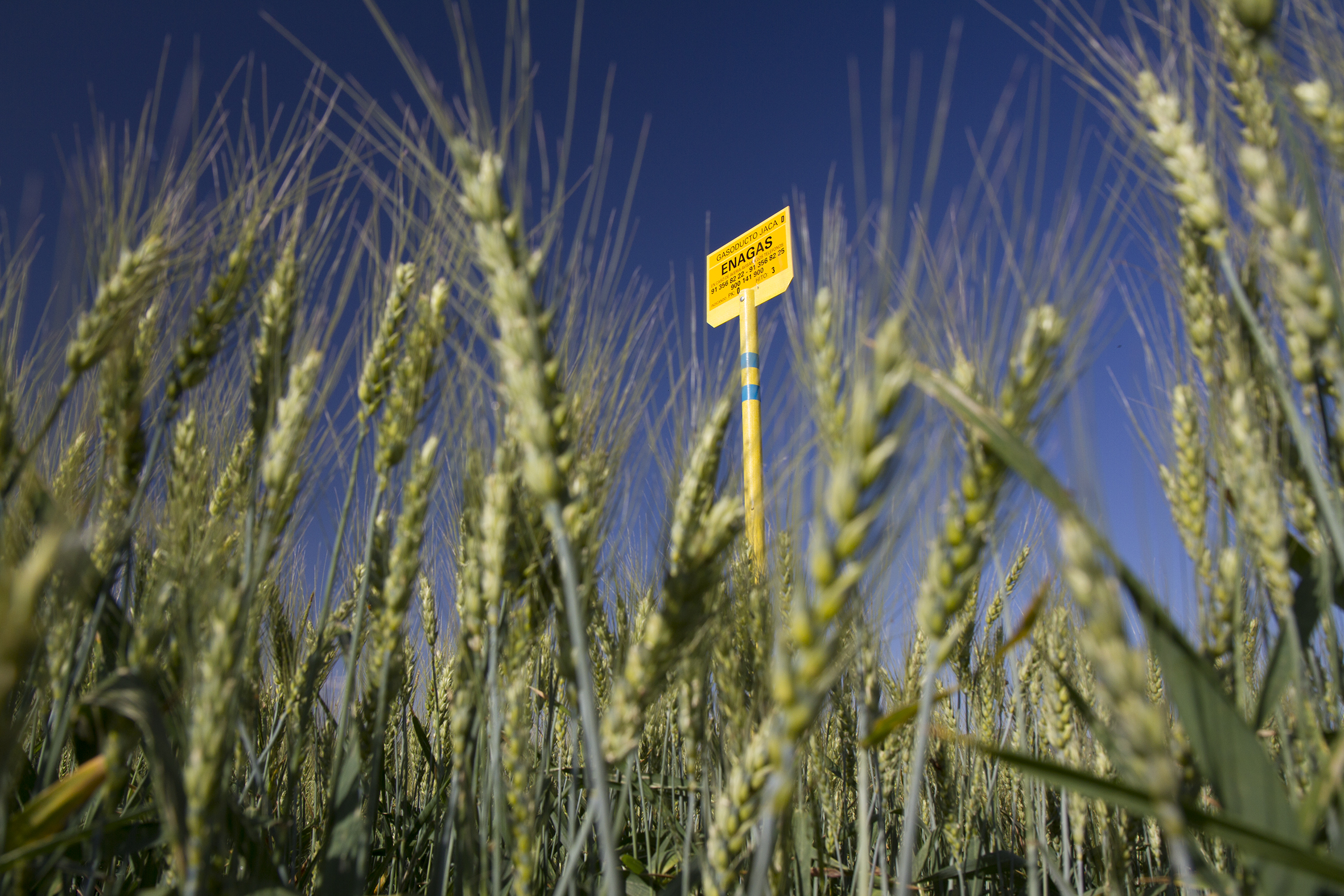 El compromiso de Enagás con los ODS