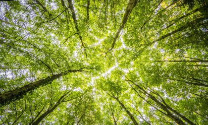 Entrepreneurship projects to design the post-Covid energy scenario