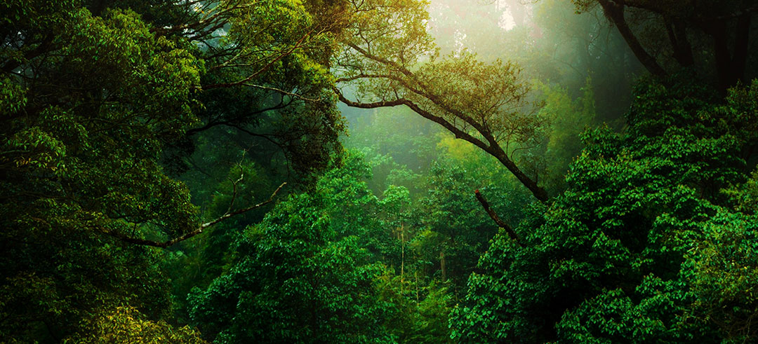 Foto de Kunal Shinde en Unsplash