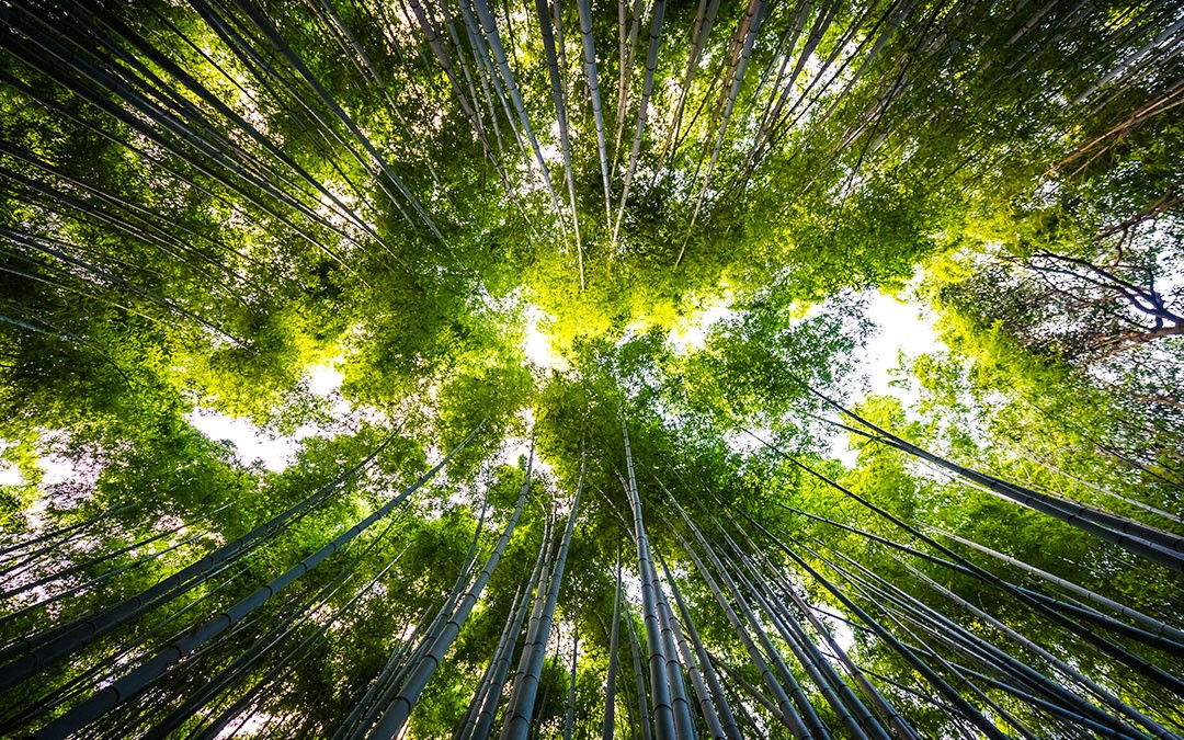 “The hydrogen economy is here and its technology is ready to be rolled out on a large scale”