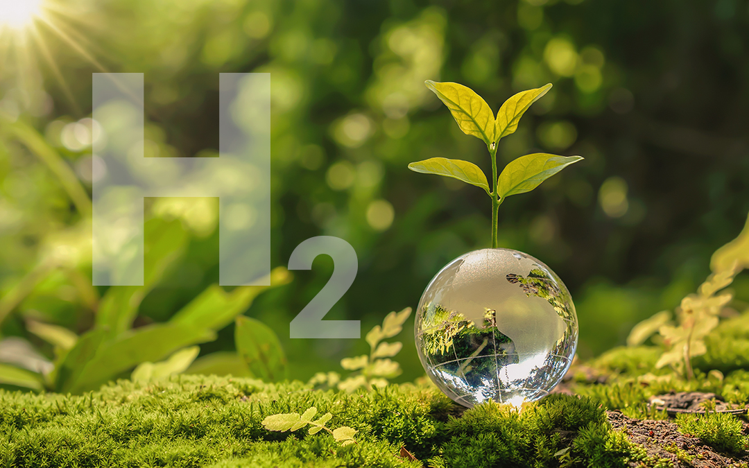 What is the hydrogen economy?