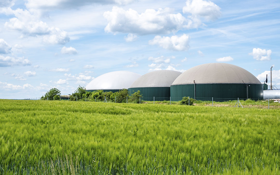 Biogas, the key renewable gas in moving towards a circular economy