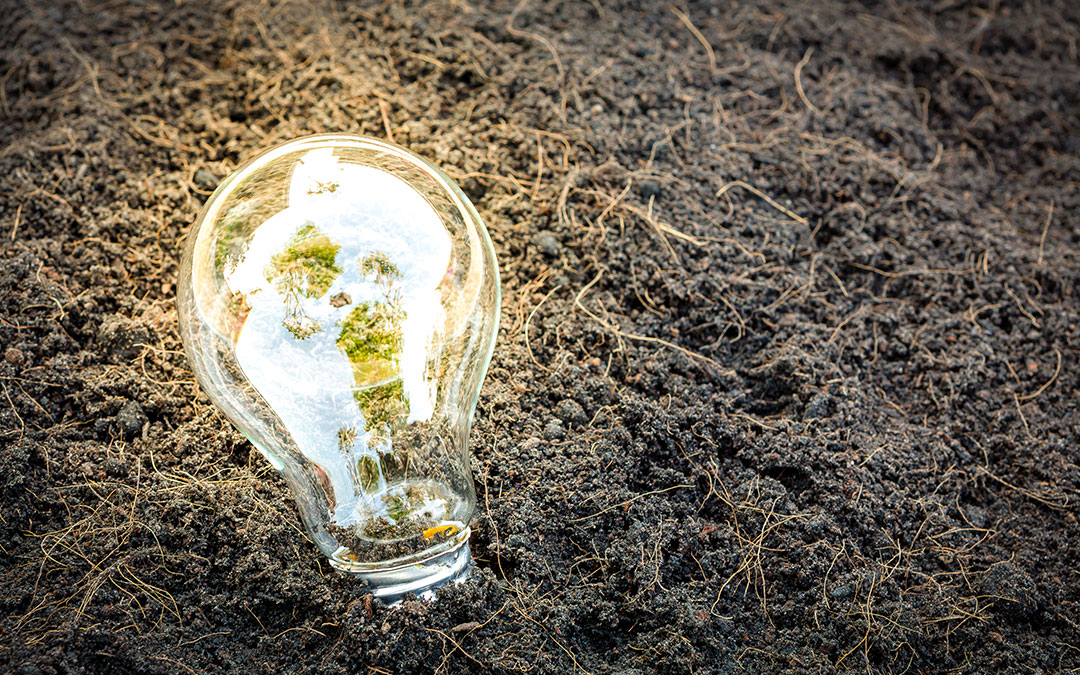 Energy-from-Waste: turning waste into energy