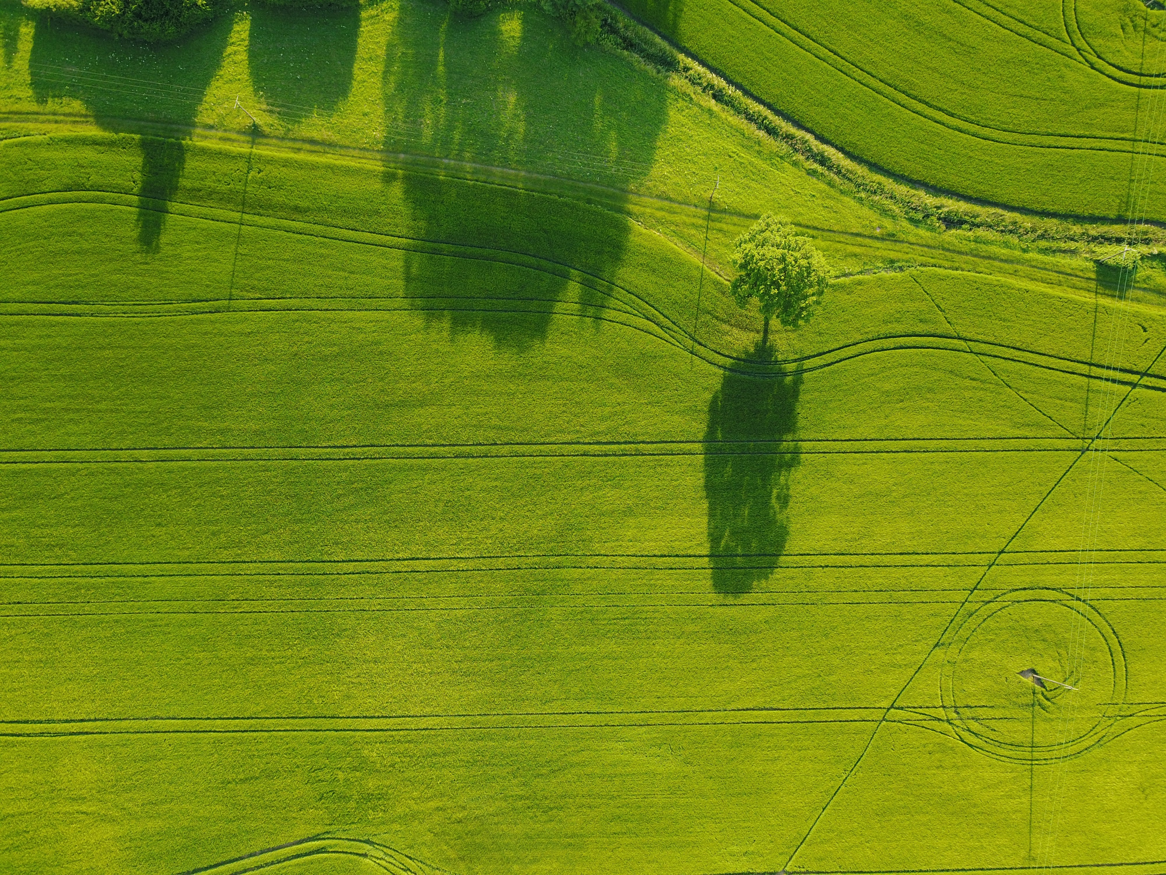 “Innovation and entrepreneurship are key to a smooth and efficient energy transition”