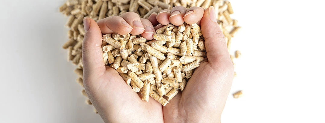 Biomass: questions and answers