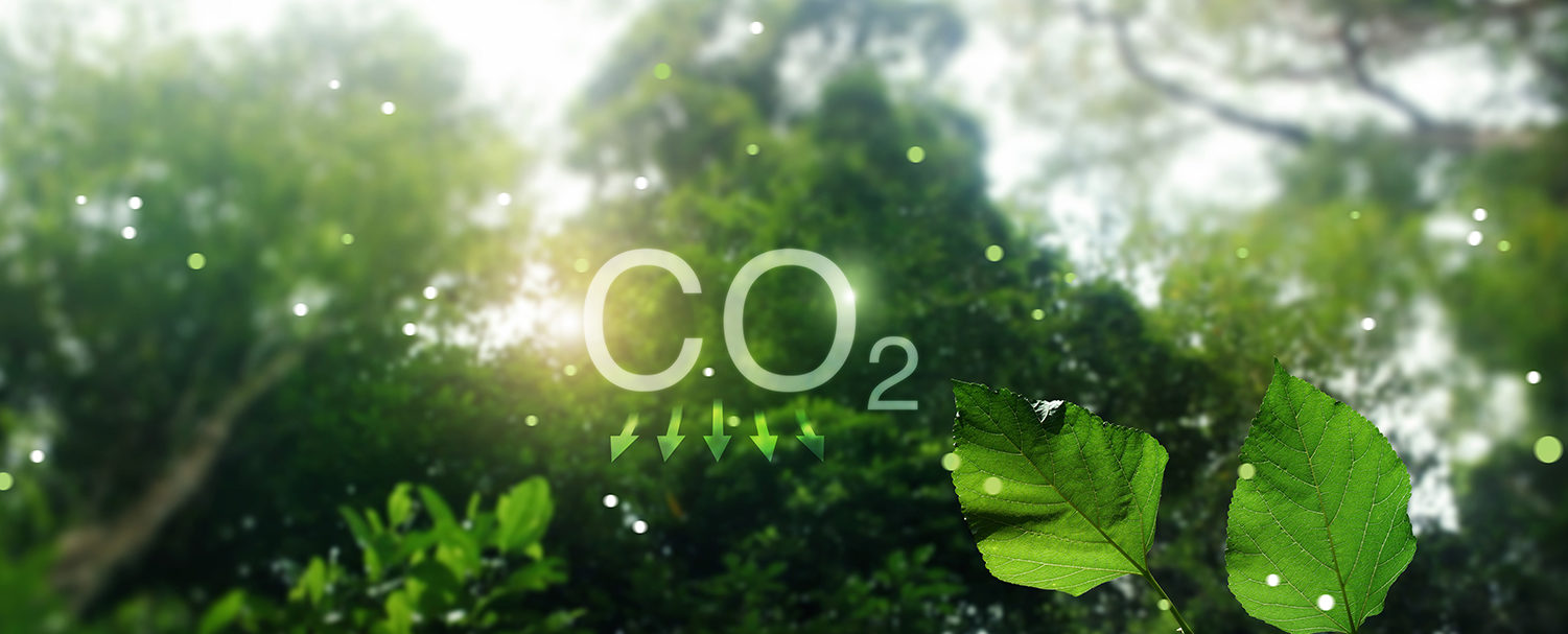 Medir la huella de carbono y la digitalización
