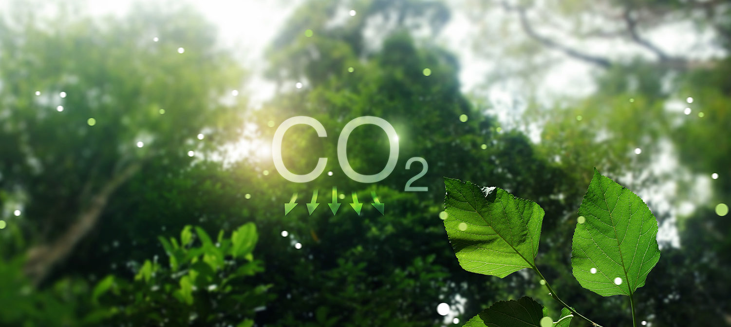 Medir la huella de carbono y la digitalización