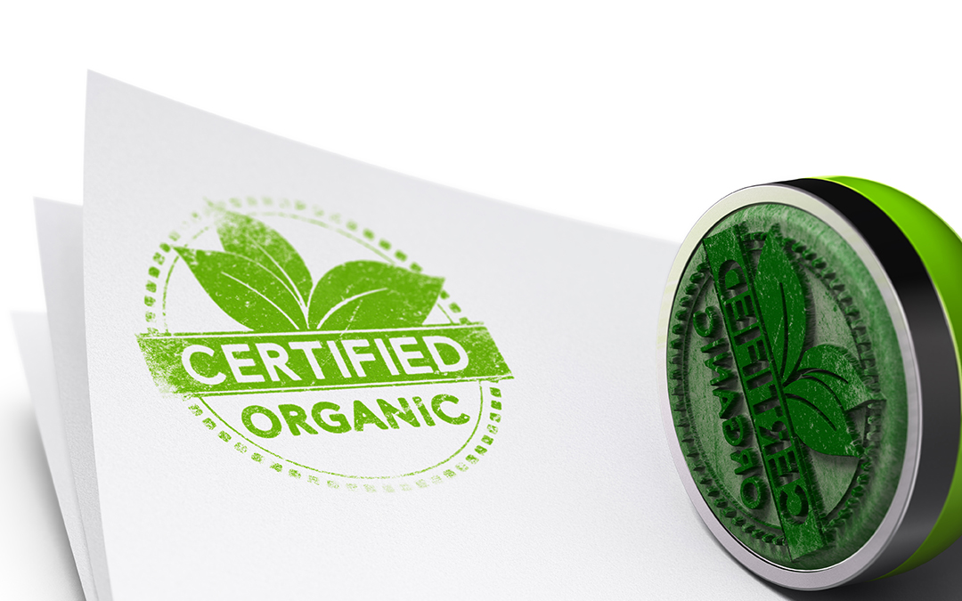 Guarantees of renewable origin: how to know if the energy you consume is green