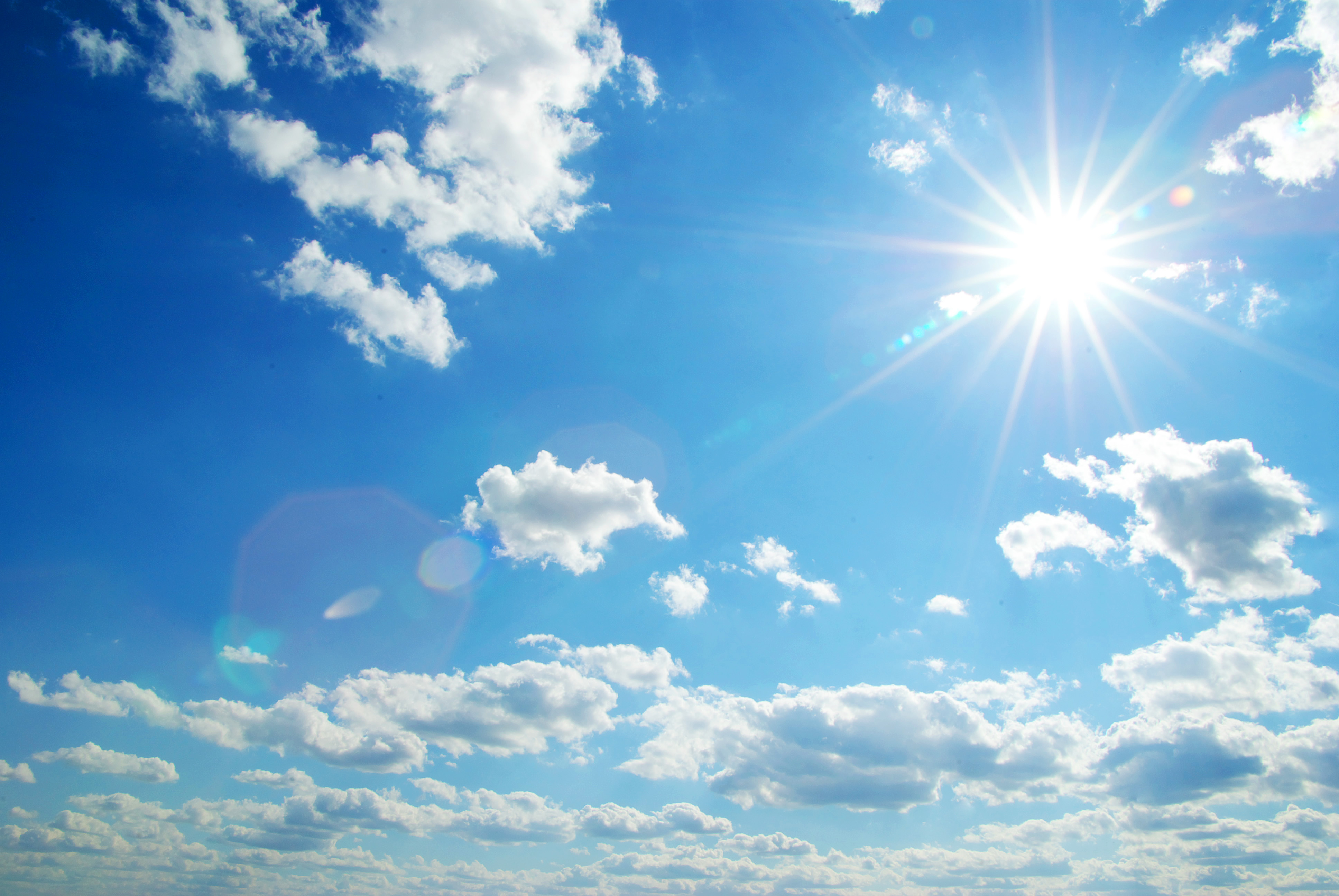 Hydrogen and ammonia, real alternatives for a net zero economy