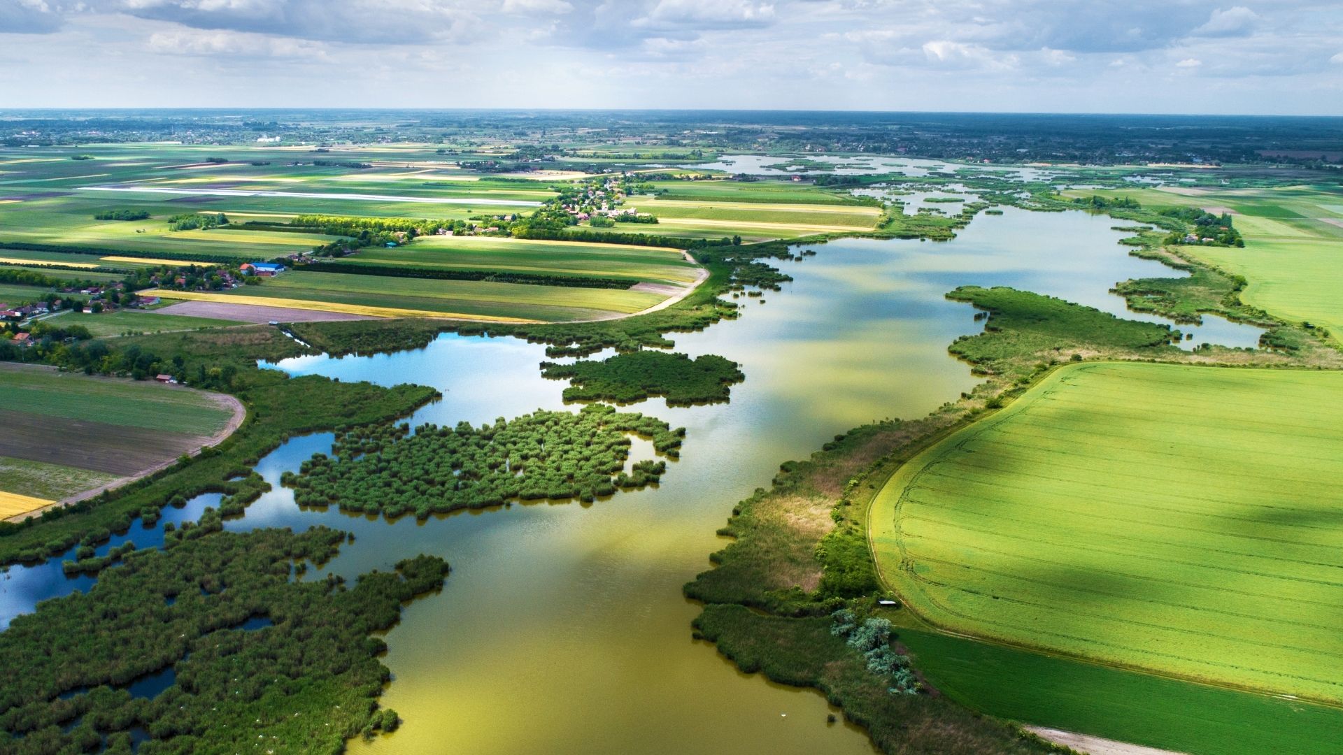 Energy transition and biodiversity, an opportunity to protect the natural balance