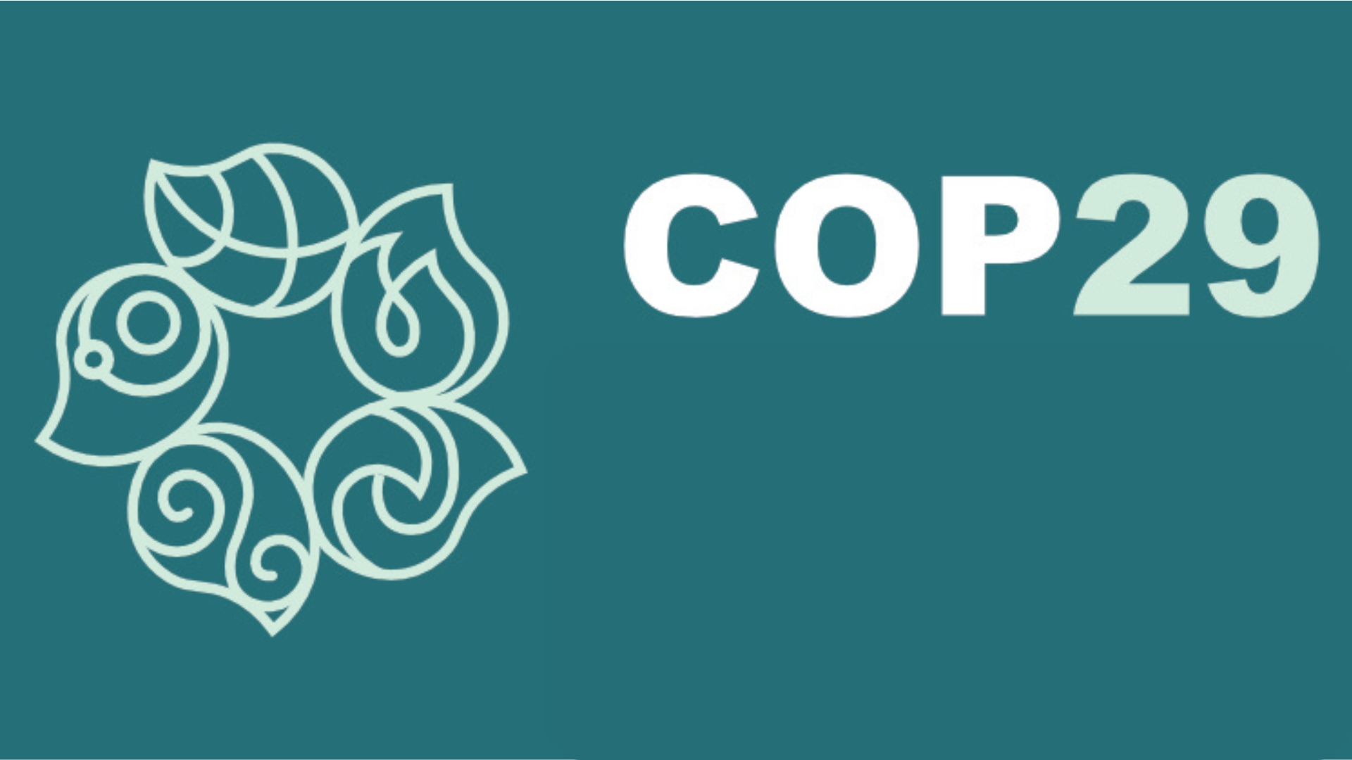COP29 agrees on a $300 billion annual investment to fight climate change