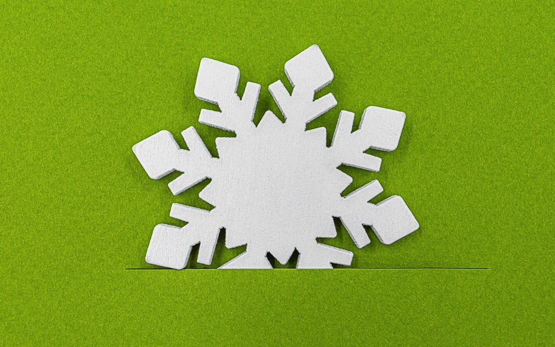 Frío ecológico para mejorar la eficiencia energética
