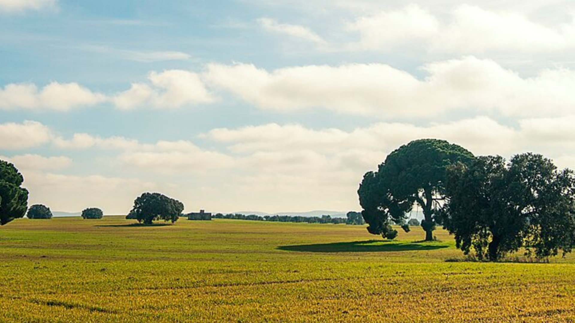 Extremadura, devoted to green hydrogen